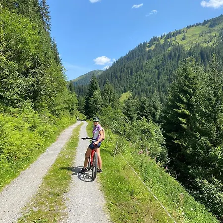 Haus Maschol Apartment Wald am Arlberg